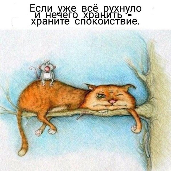 Смешные открытки для поднятия настроения