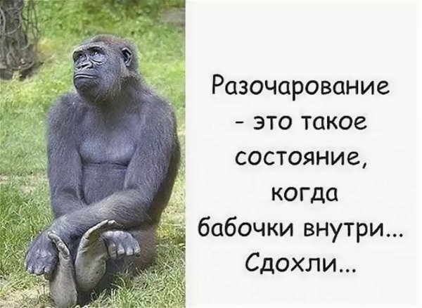 Прикольные шутки для поднятия настроения