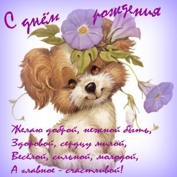 С днём рождения девочке с животными