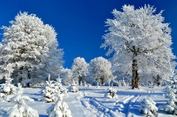 С началом зимы