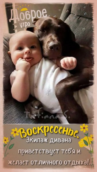 Пин от пользователя Татьяна Сальникова