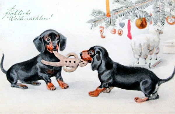 С новым годом такса