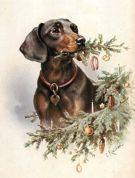 С новым годом такса