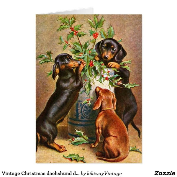 Старые открытки с таксами