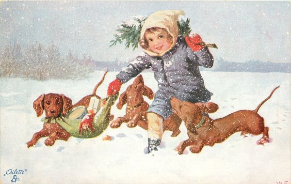 Старинные открытки с собачками