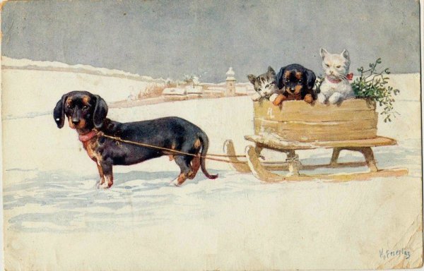 Рождественская открытка с таксой