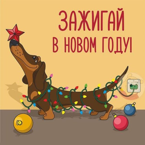 Старые открытки с таксами