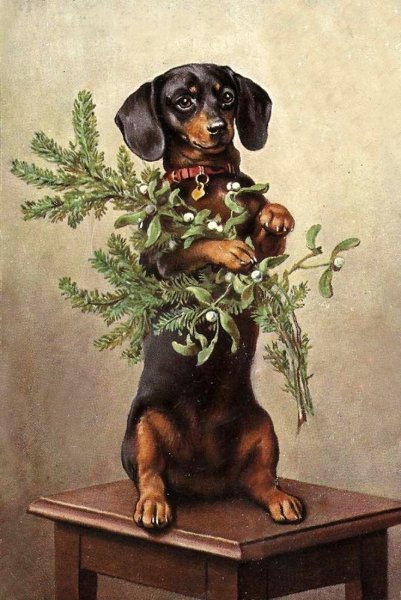 Нарисовать новогоднюю таксу