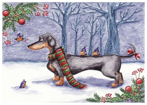 Открытки с таксами