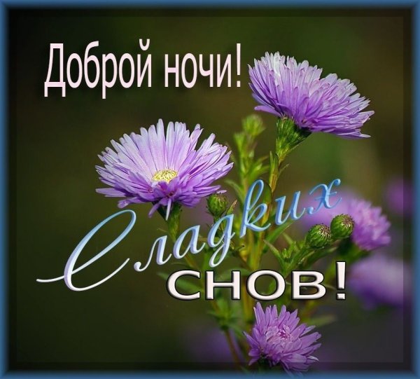 Доброй ночи православные пожелания