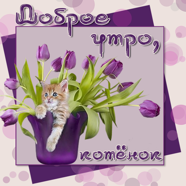 Доброе утро доченька