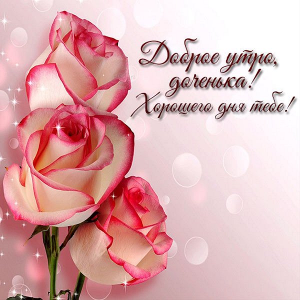 С днём рождения крксница