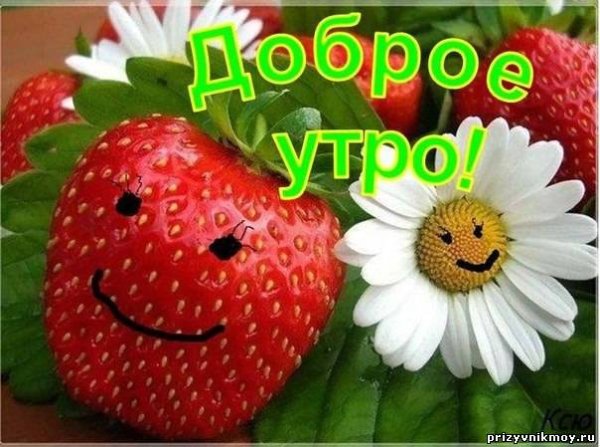 Сдобрым утром дочеьнка