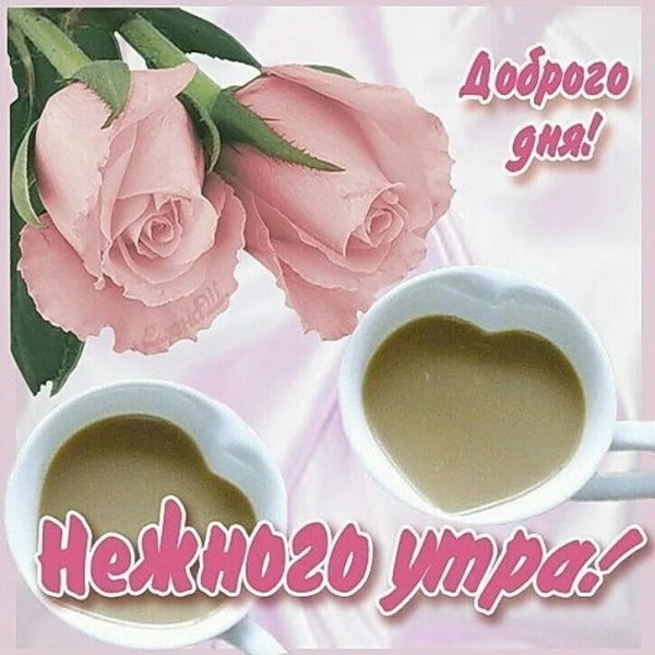 Ласковые пожелания с добрым утром
