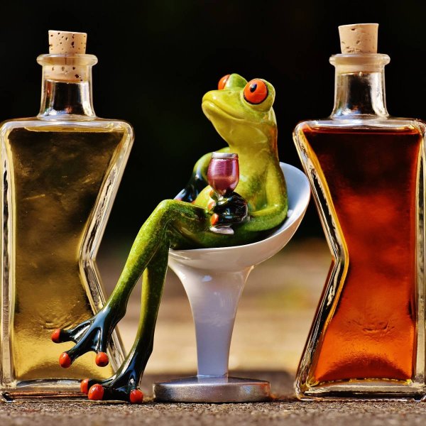 Добрый вечер картинки прикольные