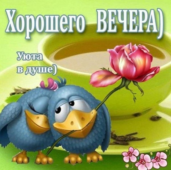 Веселые поздравления с добрым вечером