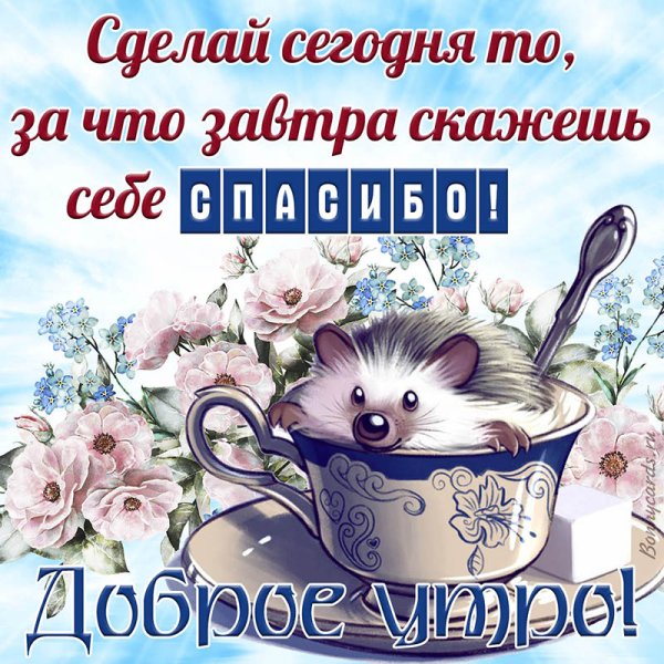 Открытки с добрым утром с ежиками