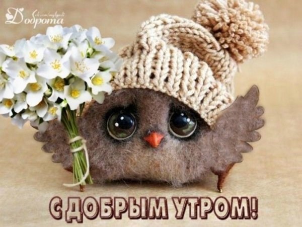 Красивые игрушки с добрым утром