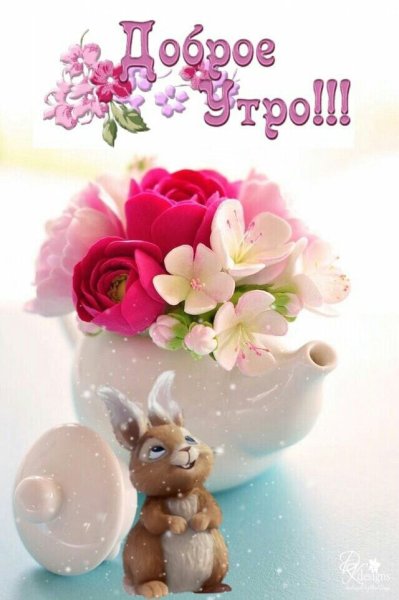 Открытки с добрым утром милые и нежные