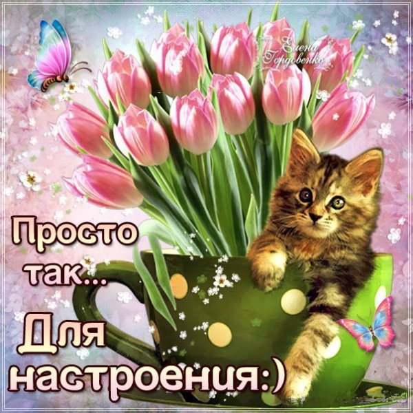 Пожелания хорошего настроения