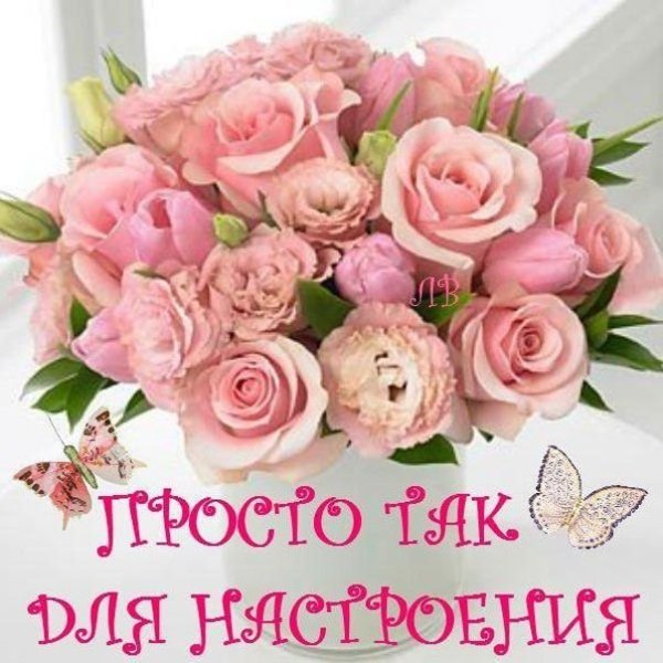 Добрые открытки просто так