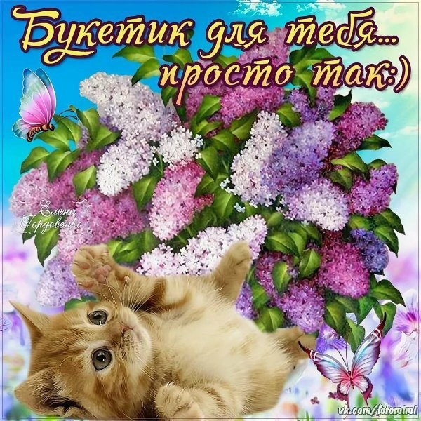 Открытки хорошего настроения мужчине