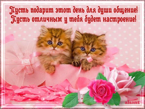 Бабочки с пожеланиями