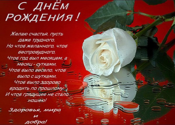 Поздравления с днём рождения открытки