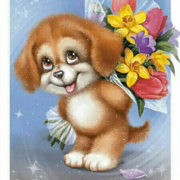 С 7ю месяцами мальчика