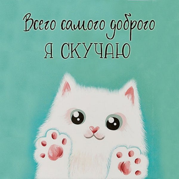 У меня же лапки