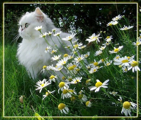 Пусть у тебя все будет хорошо