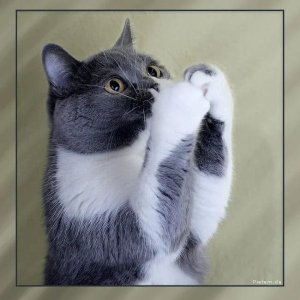 Открытка «поддержка»