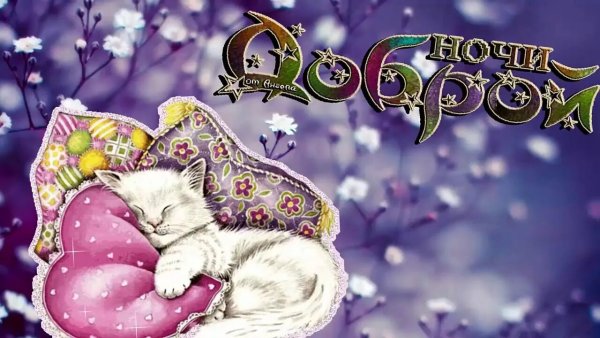 Пожелания спокойной ночи