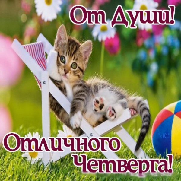 Открытки удачного четверга