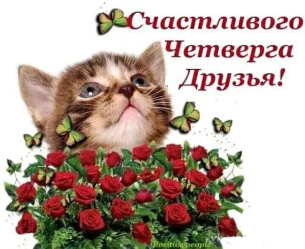 Открытки счастливого четверга