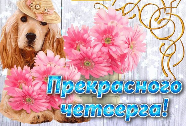 Открытки прекрасного четверга