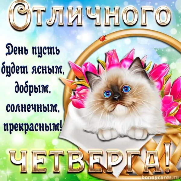 Открытки с четвергом