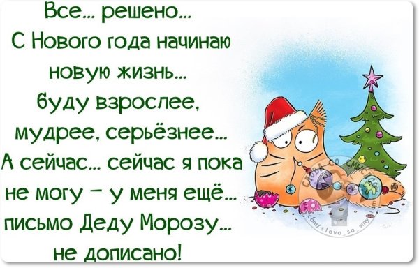 Статусы про новый год