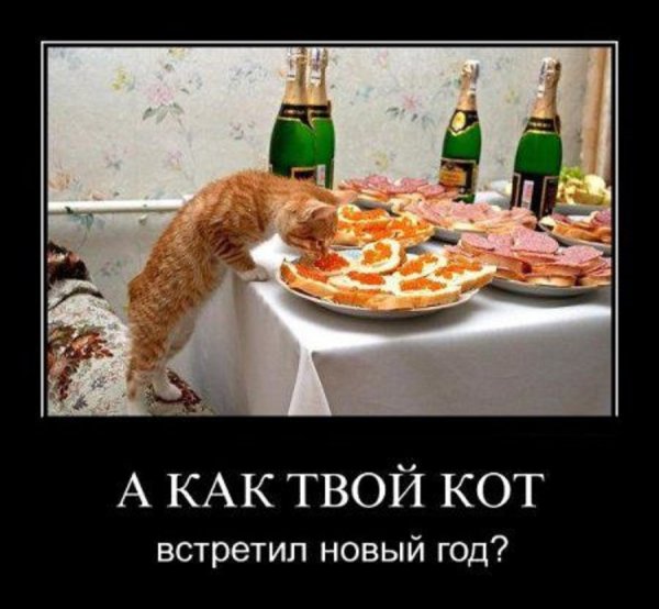 Шутки про новогодний стол