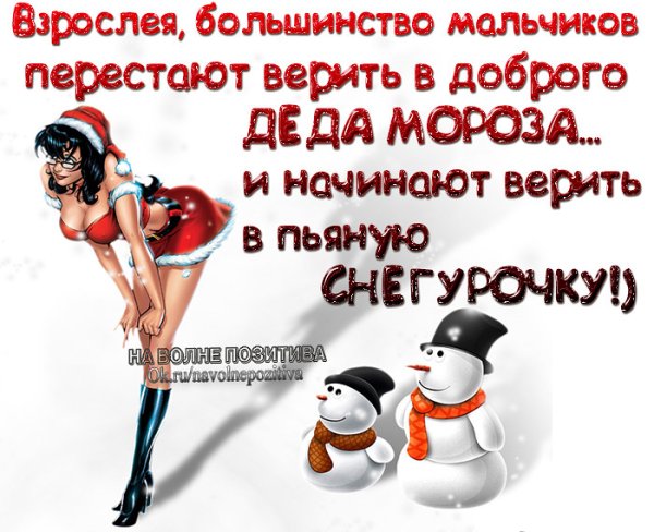 Прикольные цитаты про новый год