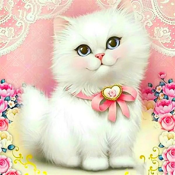 Открытка «котики»