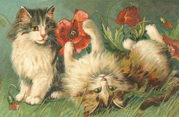 Коты Maurice Boulanger
