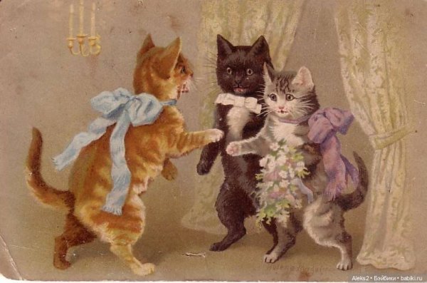 Кошка поздравляет