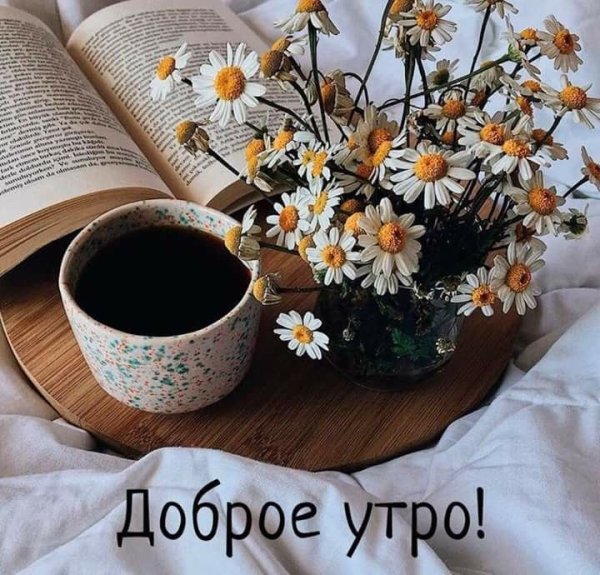 Умные поздравления с добрым утром