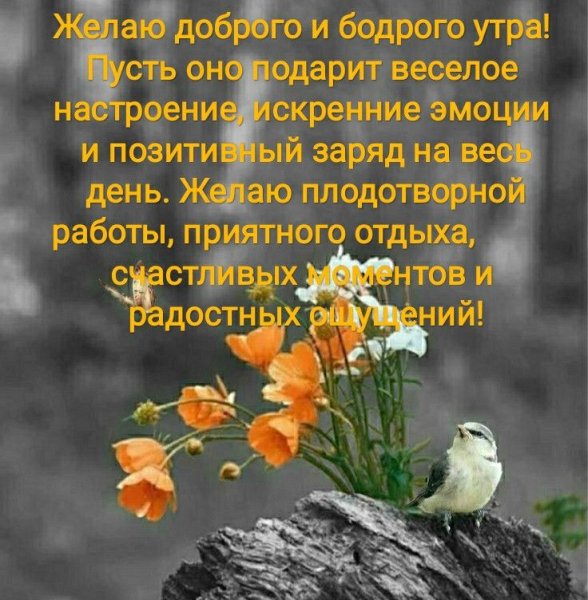 Умные поздравления с добрым утром