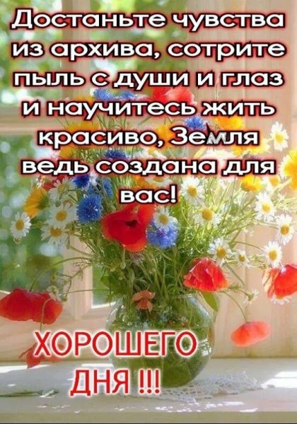 Мудрые пожелания с добрым утром