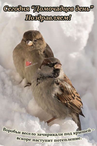 10 Января календарь