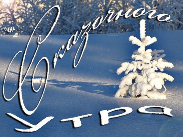 С новым зимним днем