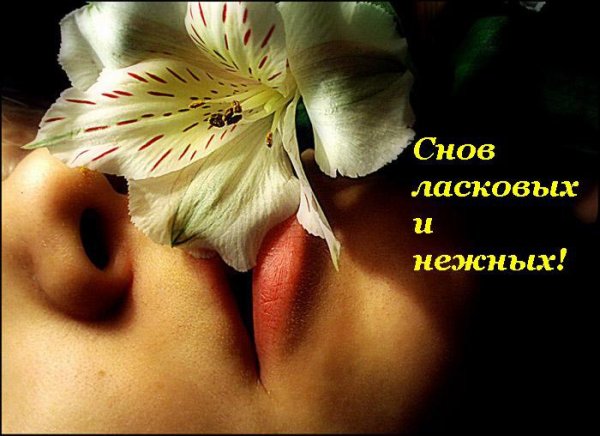 Нежный сон