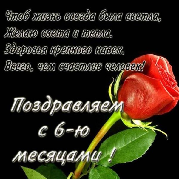 Поздравления с днём 6 месяцев девочке родителям